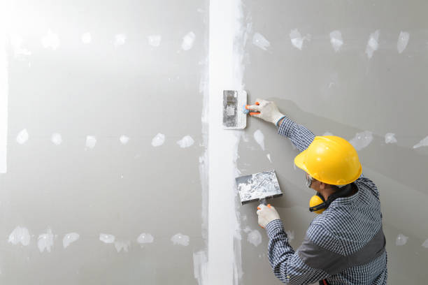 Best Attic Mold Removal  in Maltby, WA