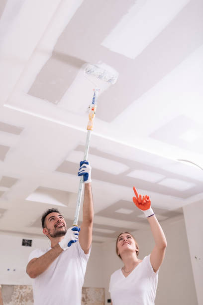  Maltby, WA Mold Removal Pros