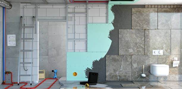 Best Basement Mold Removal  in Maltby, WA