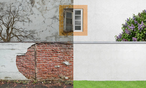 Mold Documentation for Insurance Claims in Maltby, WA